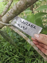 ARB-00072