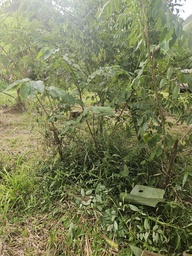 ARB-00067