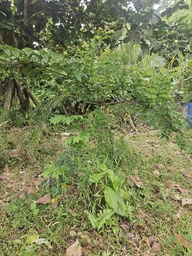 ARB-00062