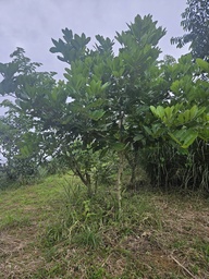 ARB-00070