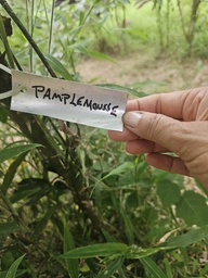 ARB-00074