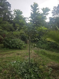 ARB-00068