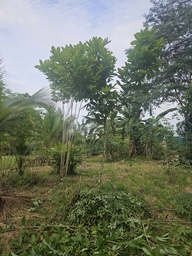 ARB-00068