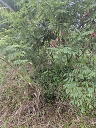 ARB-00071