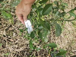 ARB-00076
