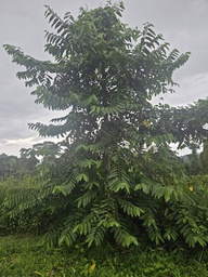 ARB-00069